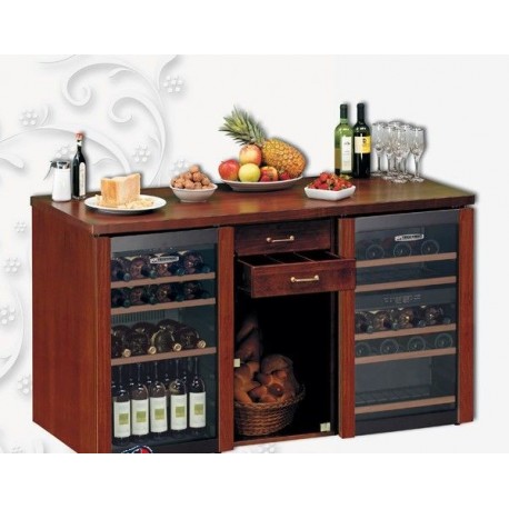 Vetrina refrigerata per vino cantina frigo TECFRIGO Eurowine 220 stock Temp. +2/+10°C (Sup.+5/+10°C e Inf. +10/+18°C) Dimensioni
